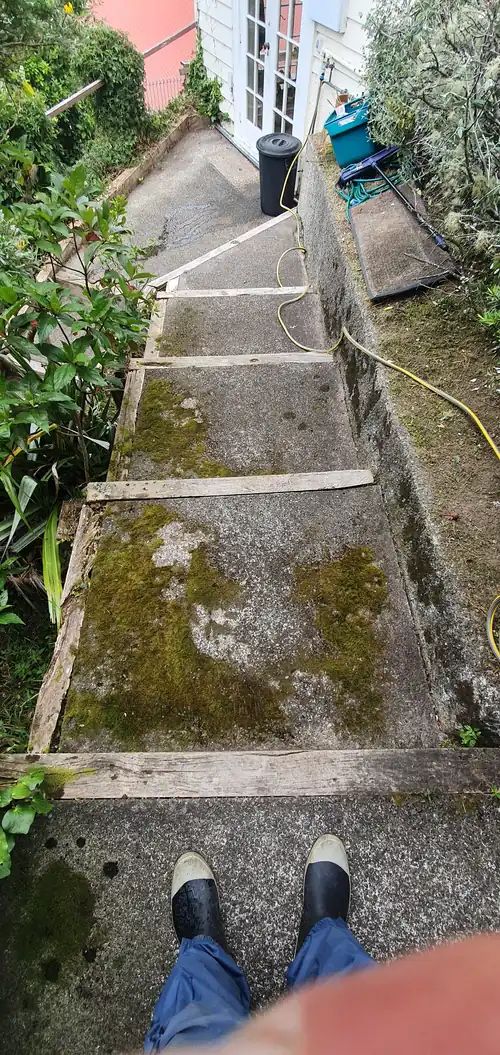 Before Path Clean Up